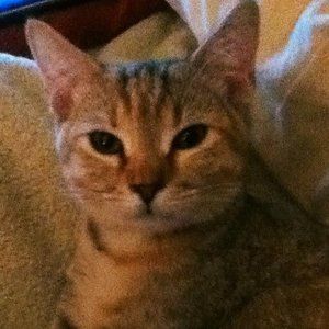 Meet your Posher, Sally